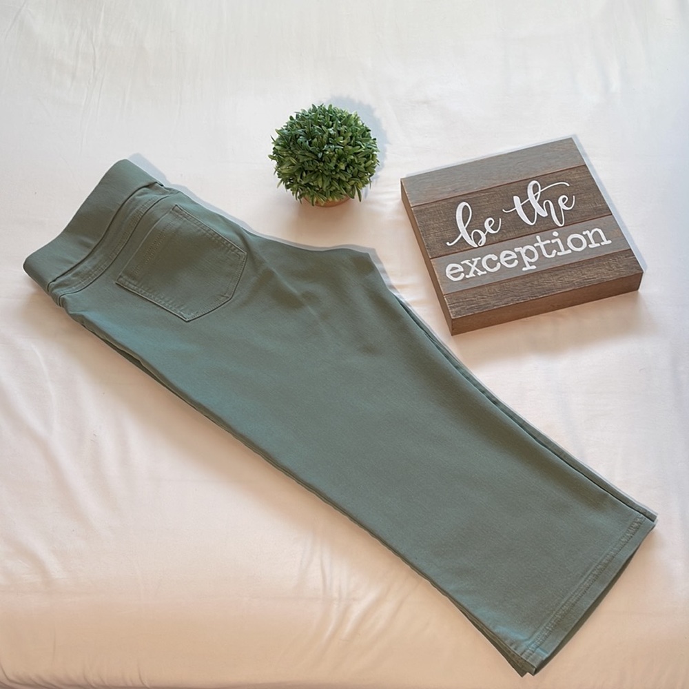 Kim Rogers Capri Pants Size 14 EUC